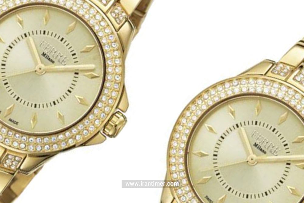 خریداران ساعت مچی زنانه فره میلانو مدل FM1L067M0061 چه افرادی هستند؟